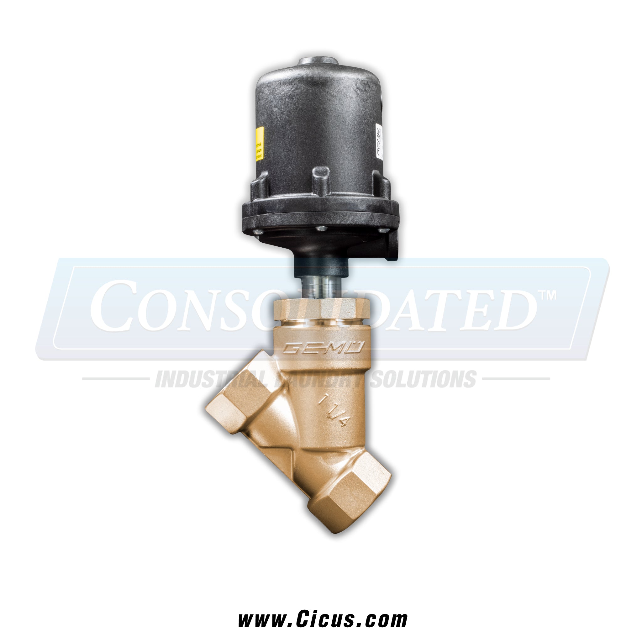 GEMÜ 1.25" NC Bronze Angle Seat Globe Water Valve [554032D3D9511]