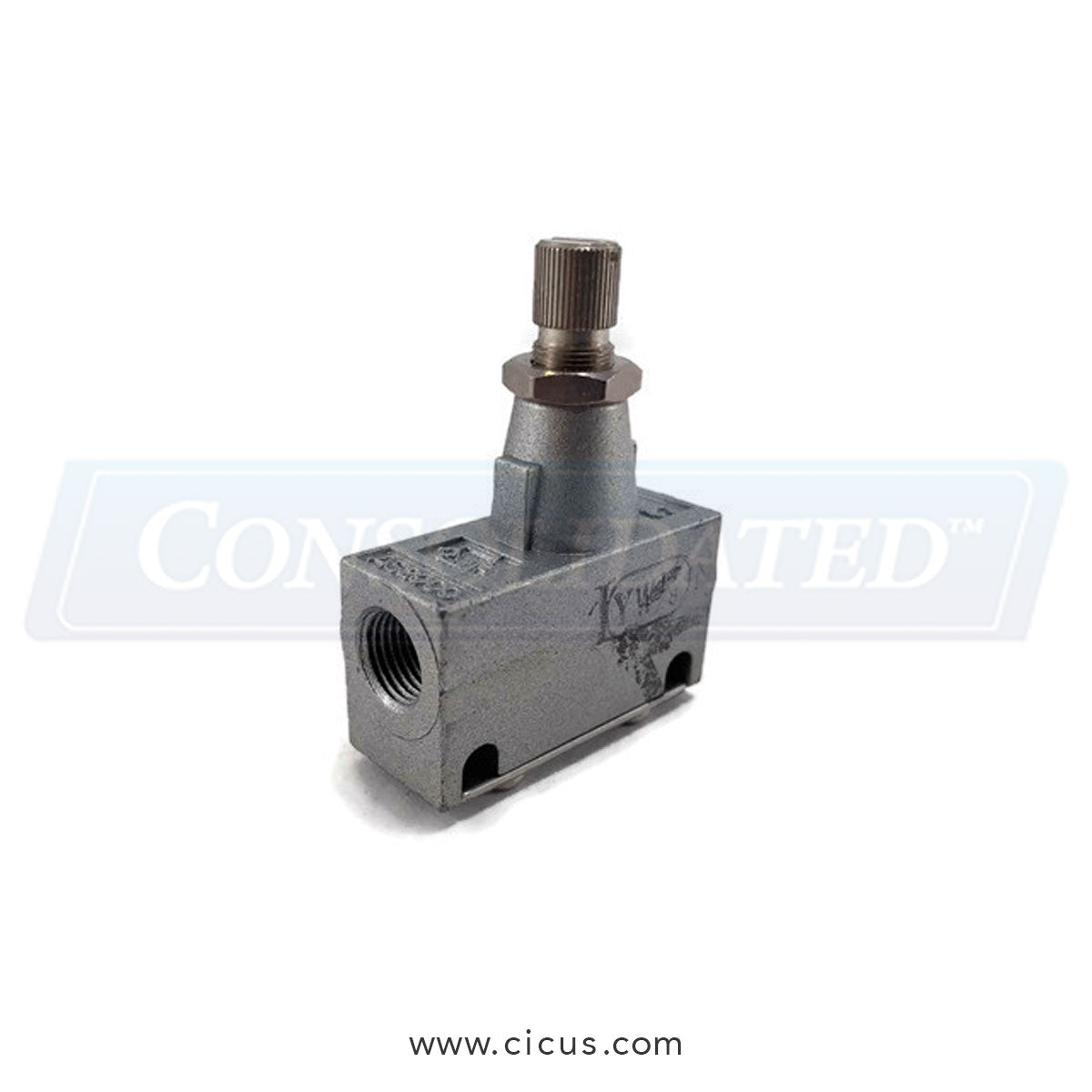 GA Braun SMC Valve Flow 1/8 Meter Out (6-) [011900041]