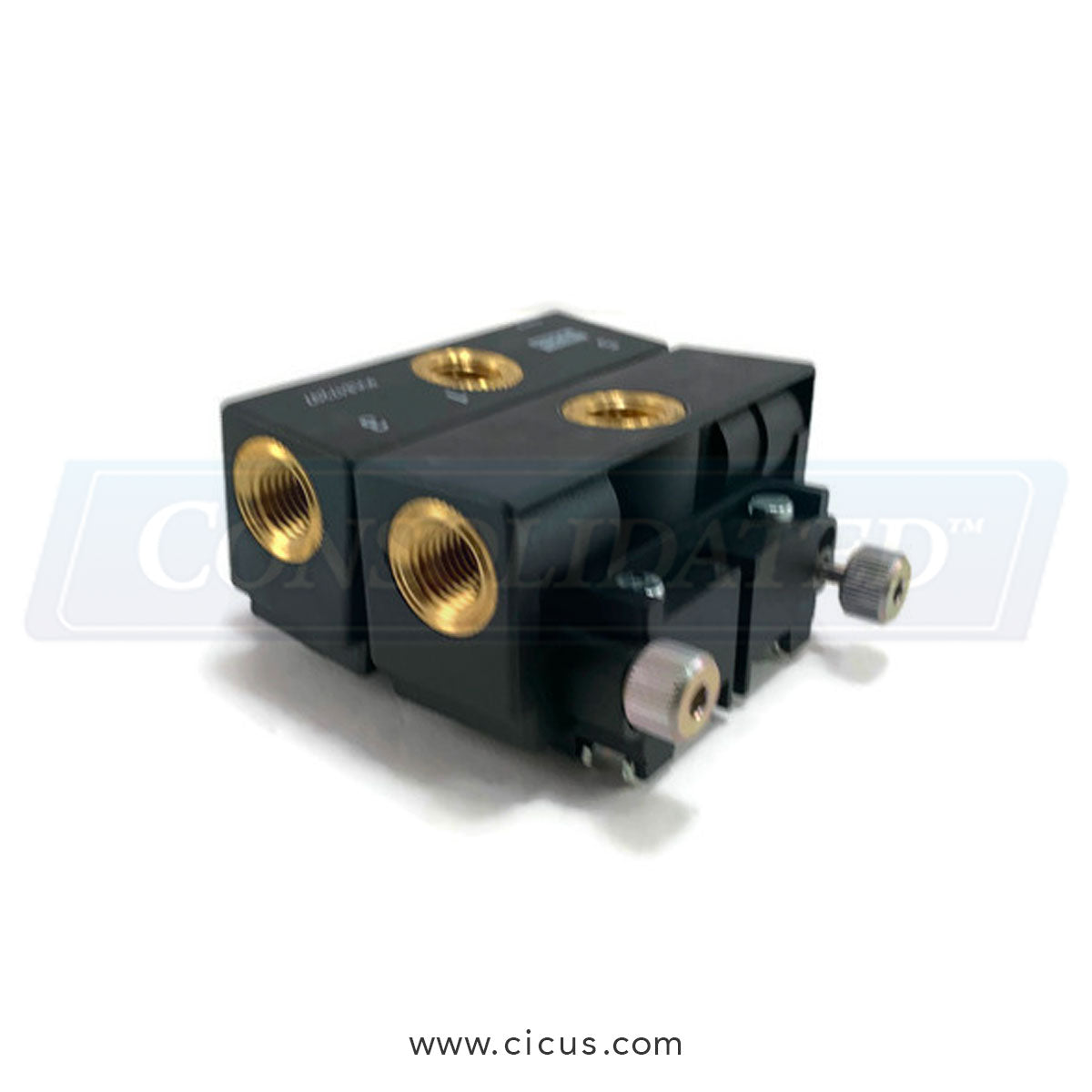 Chicago Dryer Valve Dual Air Supply - 1/8" [0202-470]