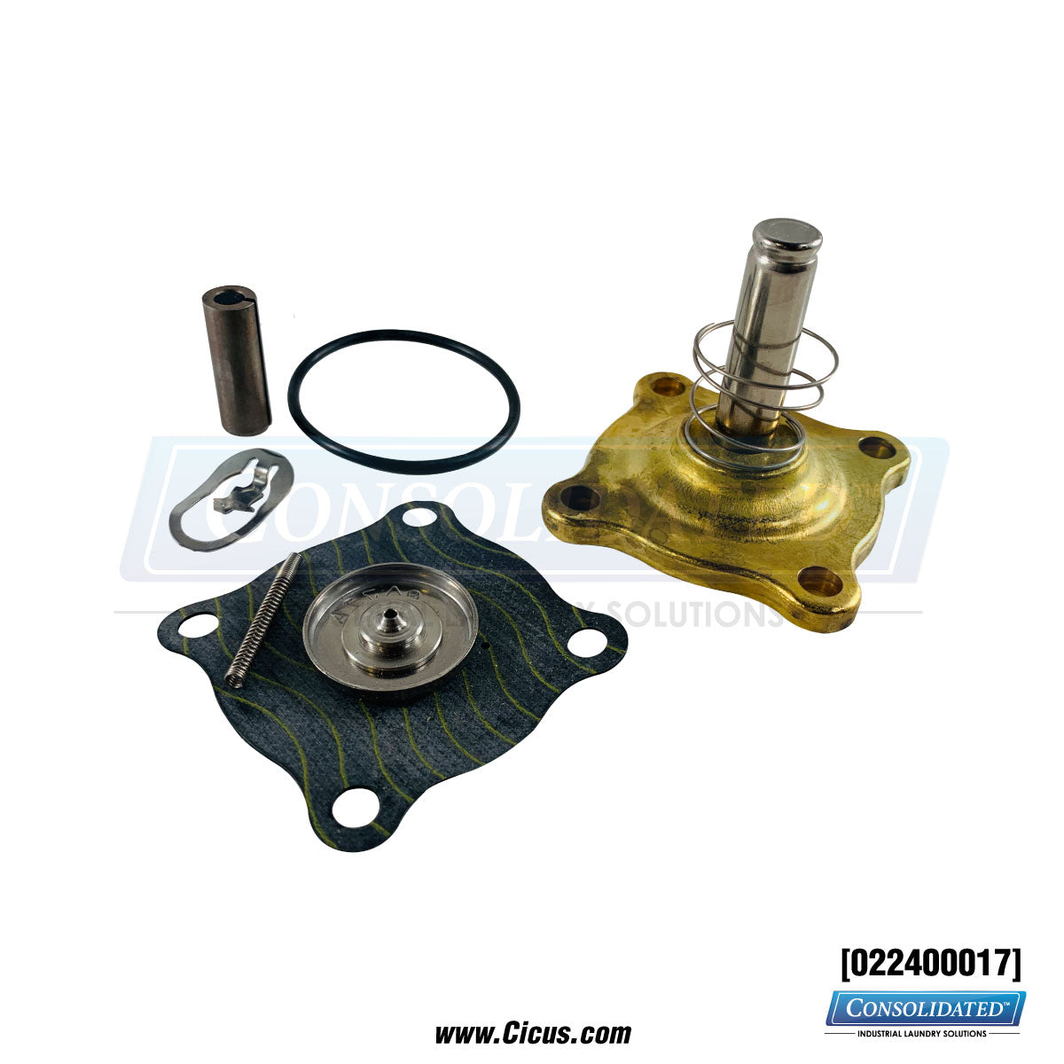 GA Braun Solenoid Valve Repair Kit  120VAC (39-221) (302273) [022400017]