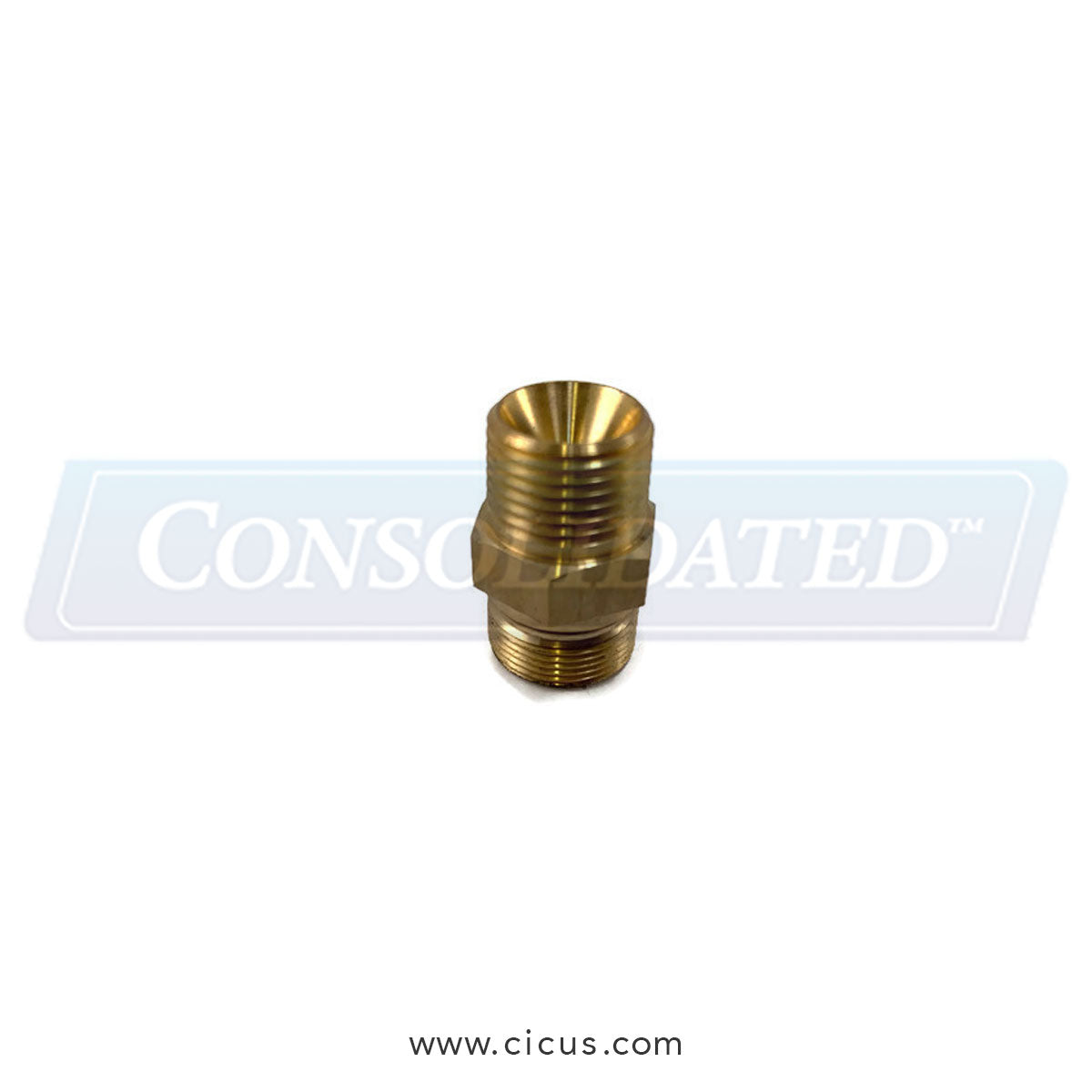 Discharge Valve Adapter (Cat Pump M#2SF30E) [107681]