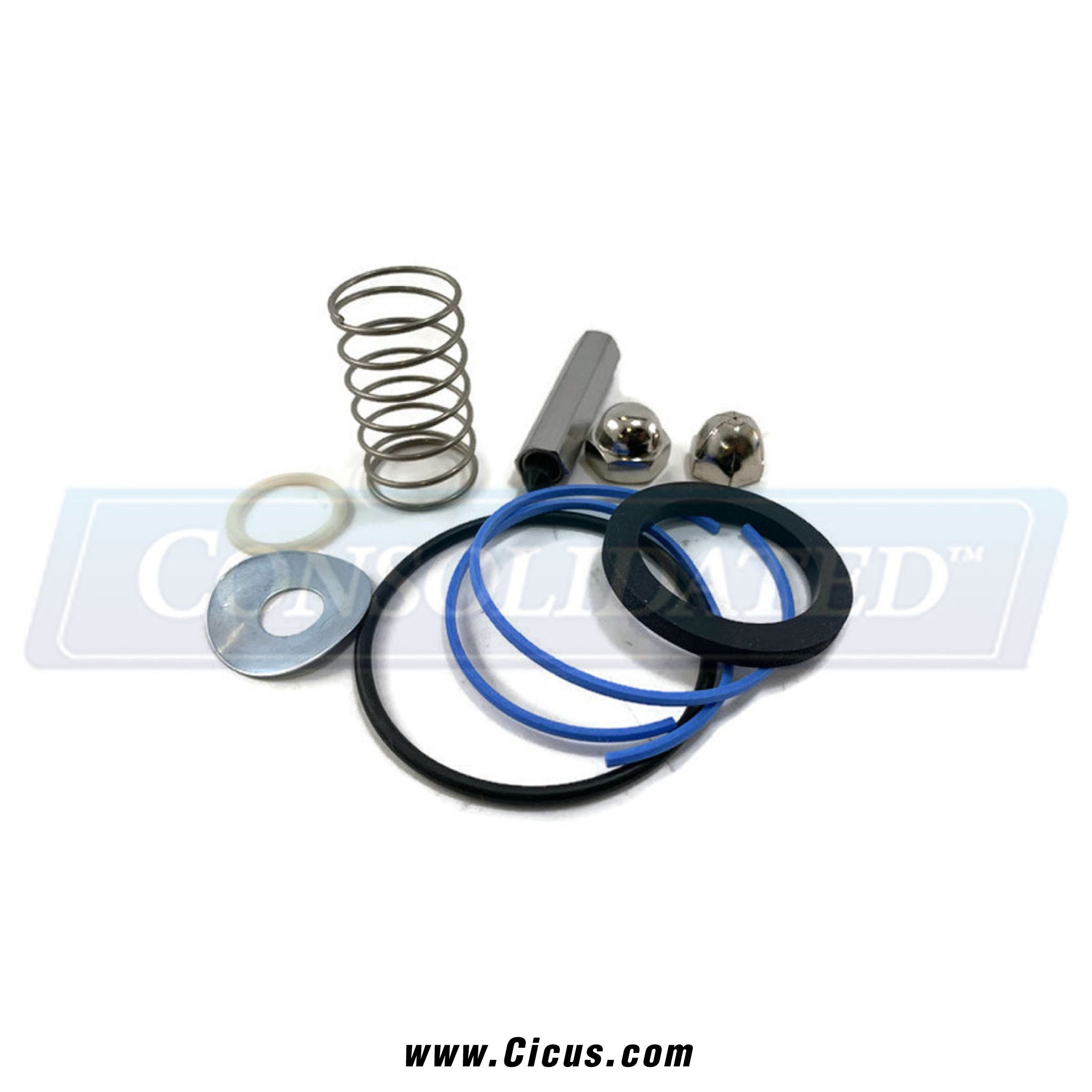 Valve 1-1/4 Seal Repair Kit  [11571]