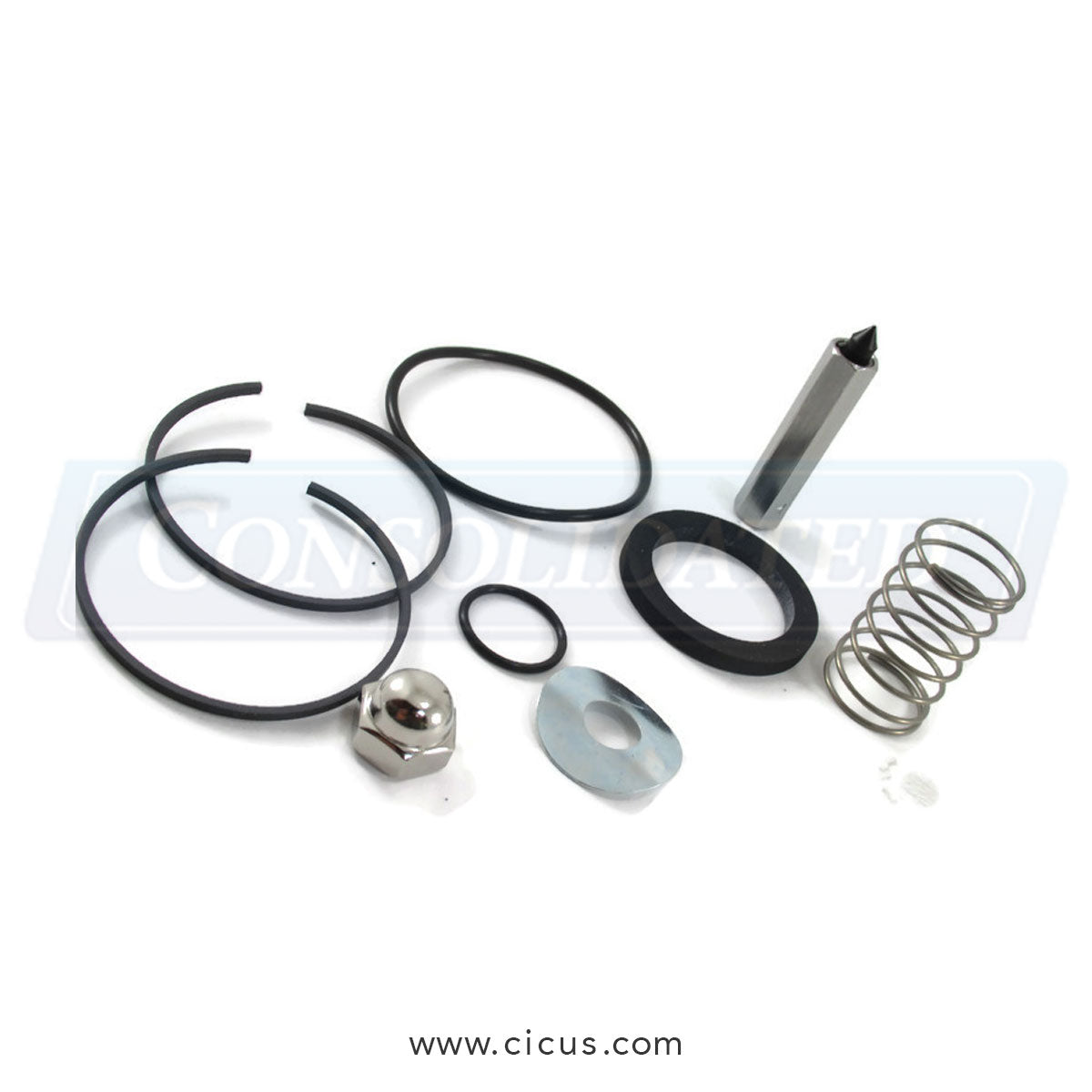 Chicago Dryer 1 1/14" Valve Repair Kit [12444]