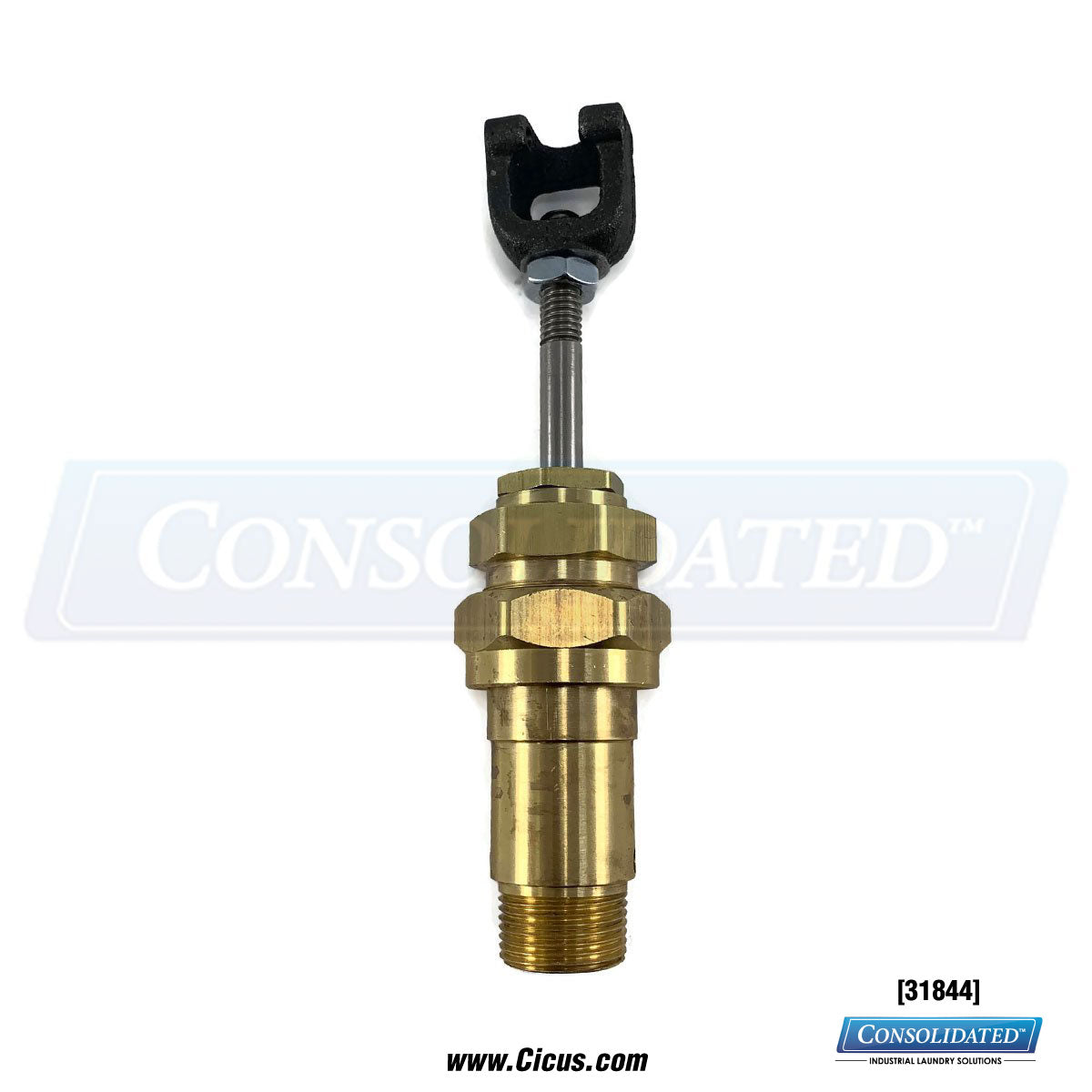 Forenta Head Steam Valve [31844]