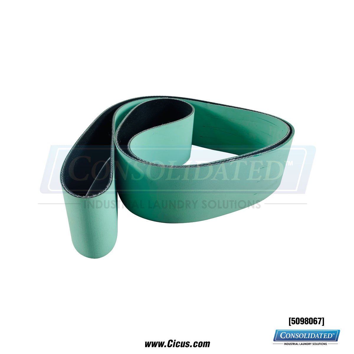 Jensen Drive Belt CG6, 40mm X 1120mm, T1 Endless [5098067] - Front View