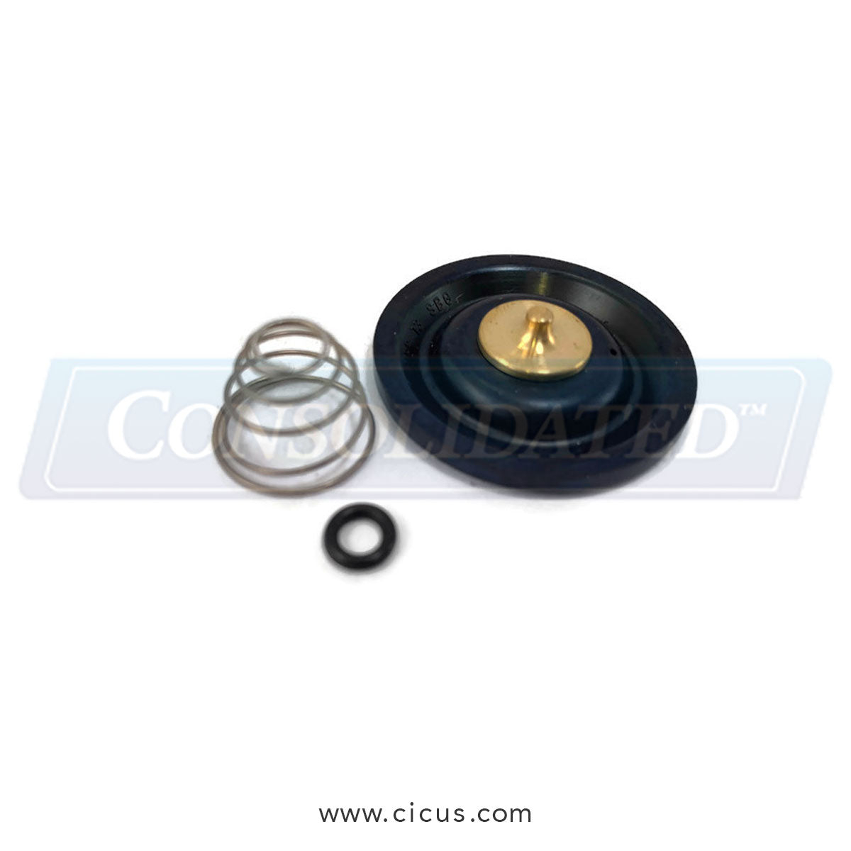 Burkert Repair Kit - Set3 (Main Diaphragm, Spring, O-Ring) [624012]