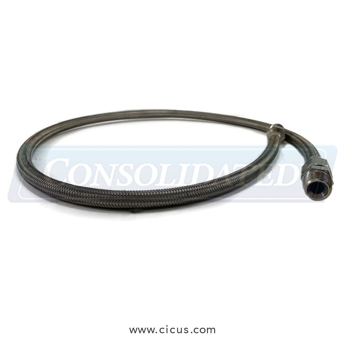 Hose Steam With Fittings S/S, 1/2 [F200153P]