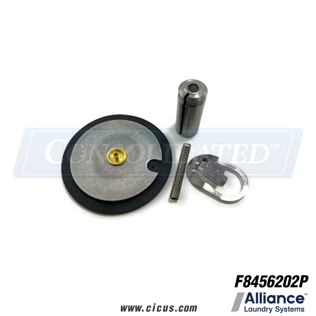 Alliance Laundry Valve Transition (EPDM 3/4") Kit [F8456202P]