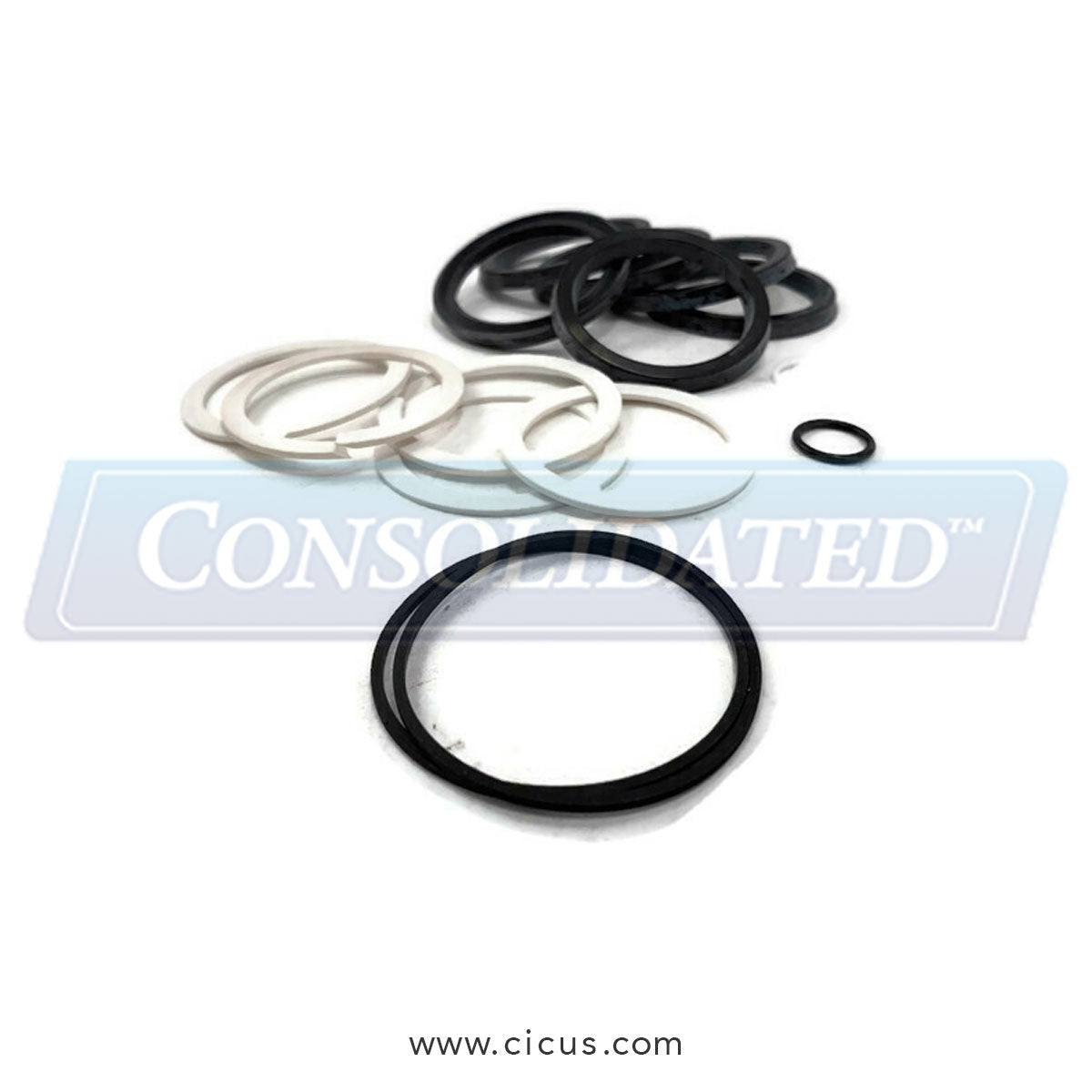 GA Braun Rotary Actr Piston Seal Kit [H02100022]