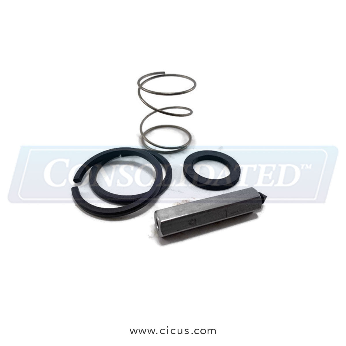 Milnor/GA Braun Steam Valve Repair Kit [V21103]